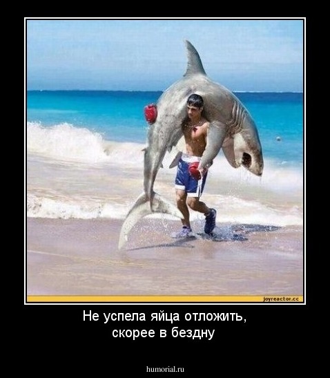  Не успела яйца отложить, скорее в бездну