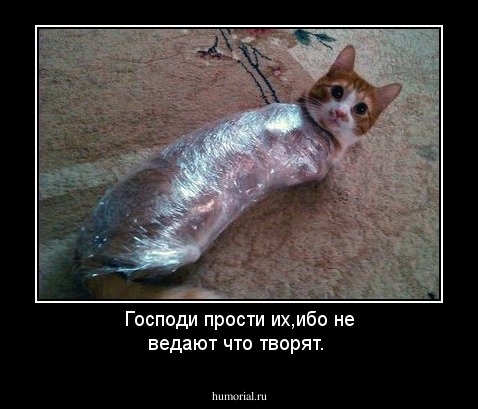 Господи прости их,ибо не ведают что творят.