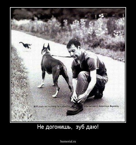 Не догонишь,  зуб даю!