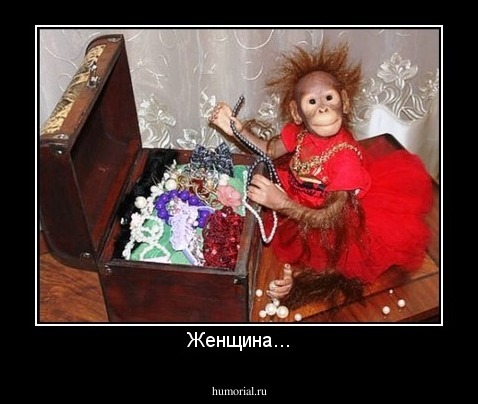 Женщина...