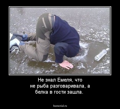Не знал Емеля, что не рыба разговаривала, а белка в гости зашла.