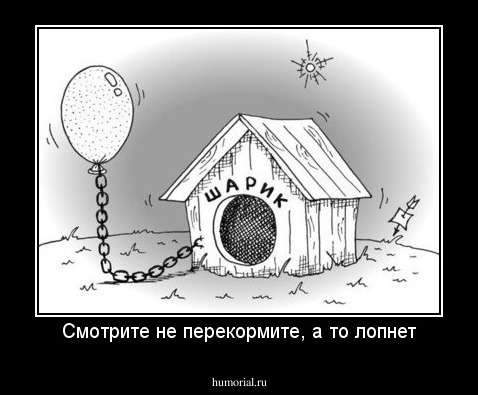 Смотрите не перекормите, а то лопнет