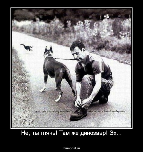 Не, ты глянь! Там же динозавр! Эх...