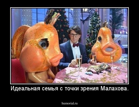 Идеальная семья с точки зрения Малахова.