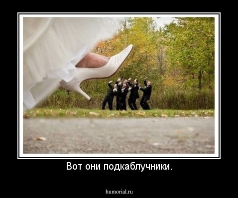 Вот они подкаблучники.