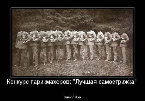 Конкурс парикмахеров: "Лучшая самострижка"