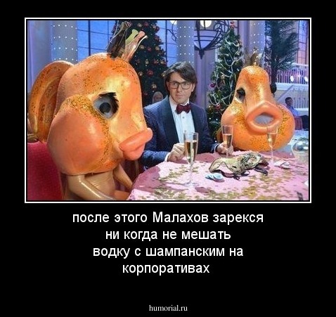 после этого Малахов зарекся ни когда не мешать водку с шампанским на корпоративах