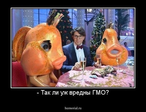 - Так ли уж вредны ГМО?