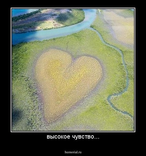 высокое чувство...