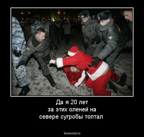 Да я 20 лет за этих оленей на севере сугробы топтал