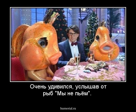 Очень удивился, услышав от рыб "Мы не пьём".