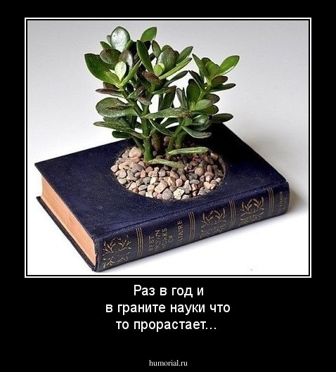 Раз в год и в граните науки что то прорастает...