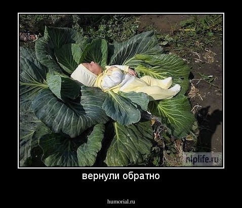 вернули обратно