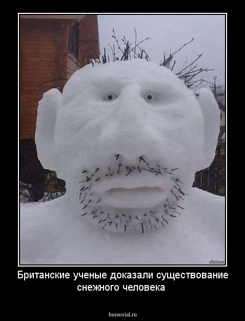 Британские ученые доказали существование снежного человека 