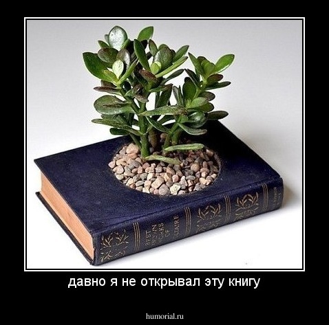 давно я не открывал эту книгу