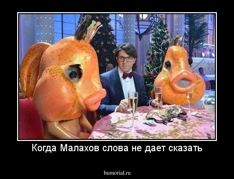 Когда Малахов слова не дает сказать