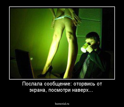 Послала сообщение: оторвись от экрана, посмотри наверх...