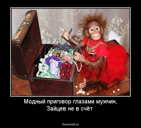 Модный приговор глазами мужчин, Зайцев не в счёт