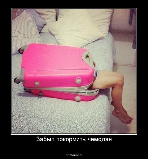 Забыл покормить чемодан