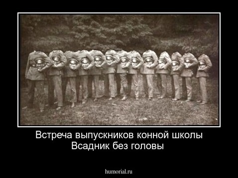 Встреча выпускников конной школы Всадник без головы