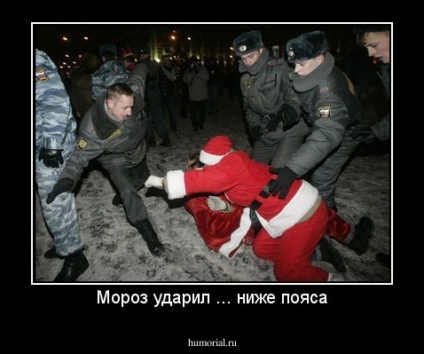 Мороз ударил ... ниже пояса