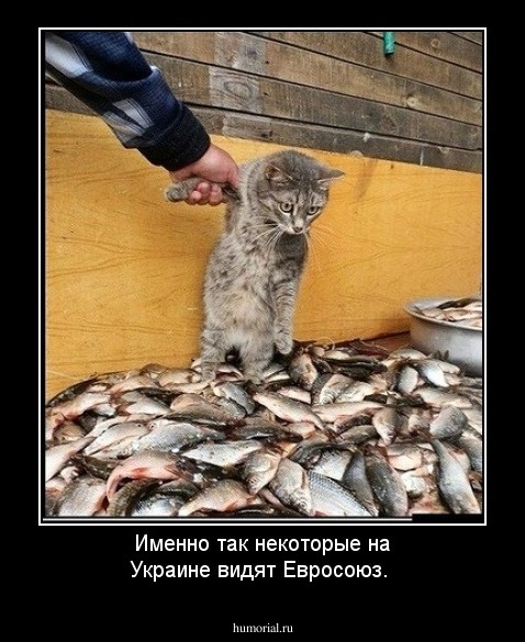 Именно так некоторые на Украине видят Евросоюз.