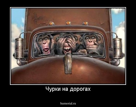Чурки на дорогах