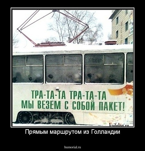Прямым маршрутом из Голландии
