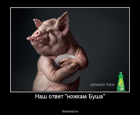 Наш ответ "ножкам Буша"