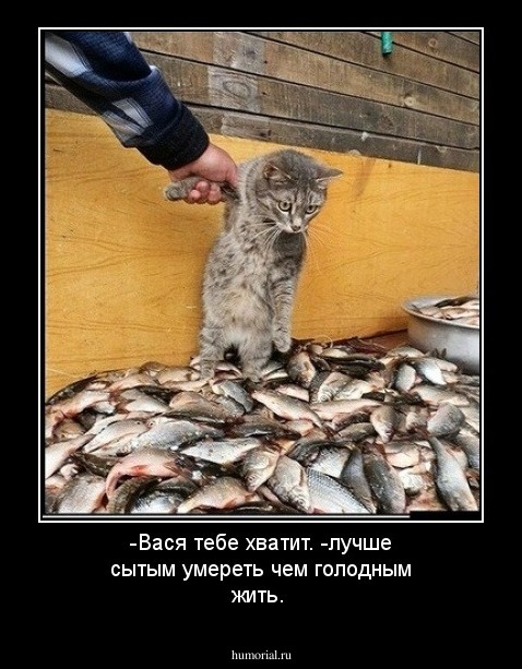 -Вася тебе хватит.
-лучше сытым умереть чем голодным жить.