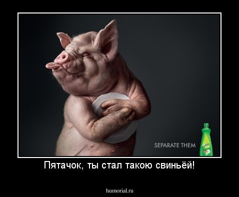 Пятачок, ты стал такою свиньёй!