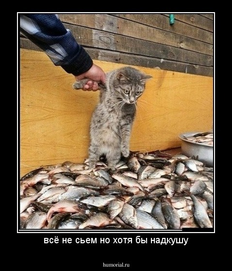 всё не сьем но хотя бы надкушу