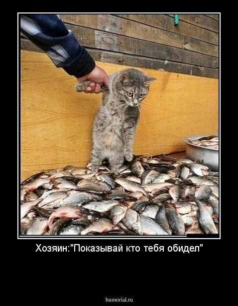 Хозяин:"Показывай кто тебя обидел"

