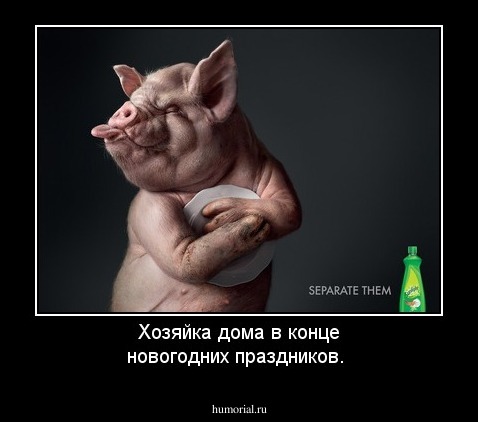 Хозяйка дома в конце новогодних праздников.