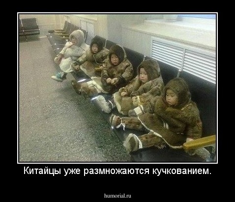 Китайцы уже размножаются кучкованием.