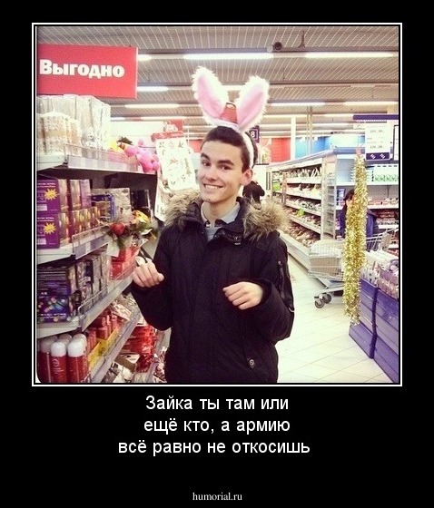 Зайка ты там или ещё кто, а  армию всё равно  не откосишь