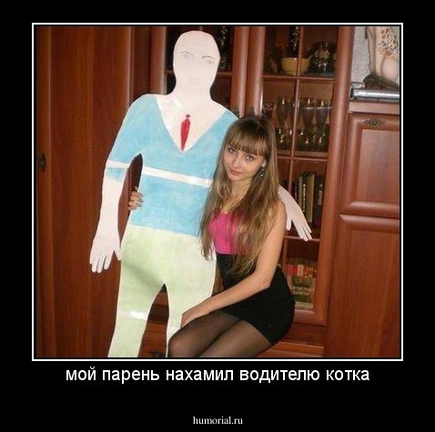 мой парень нахамил водителю котка
