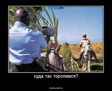 куда так торопимся?
