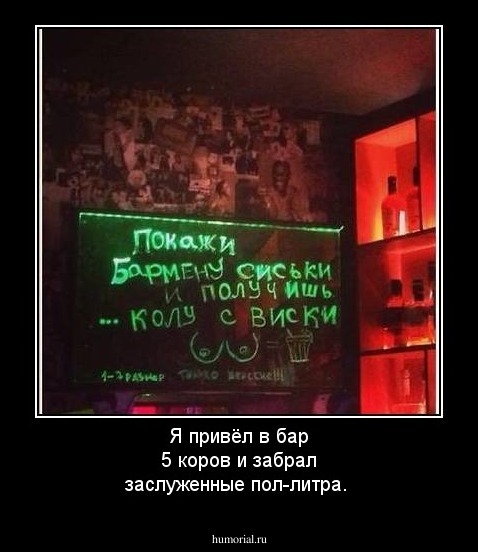 Я привёл в бар 5 коров и забрал заслуженные пол-литра.