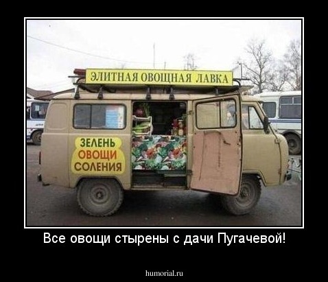 Все овощи стырены с дачи Пугачевой!