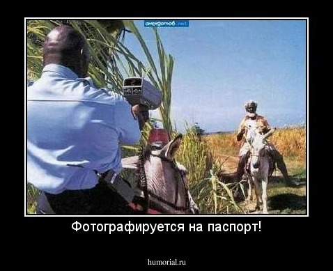 Фотографируется на паспорт!