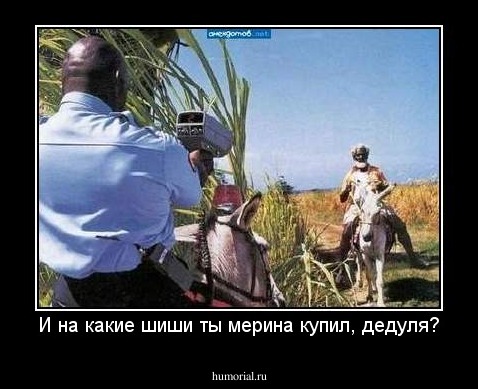 И на какие шиши ты мерина купил, дедуля?