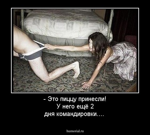 - Это пиццу принесли! У него ещё 2 дня командировки....