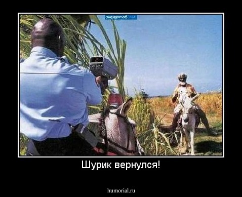 Шурик вернулся!