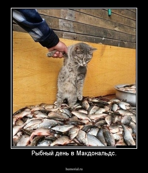 Рыбный день в Макдональдс.