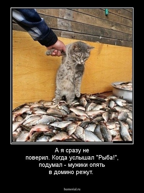 А я сразу не поверил. Когда услышал "Рыба!", подумал - мужики опять в домино режут.
