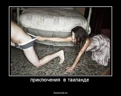 приключения  в таиланде 
