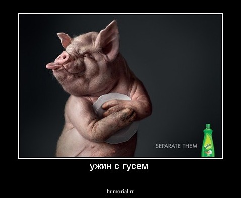 ужин с гусем 