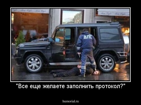 "Все еще желаете заполнить протокол?"