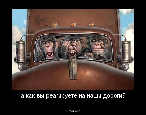 а как вы реагируете на наши дороги?